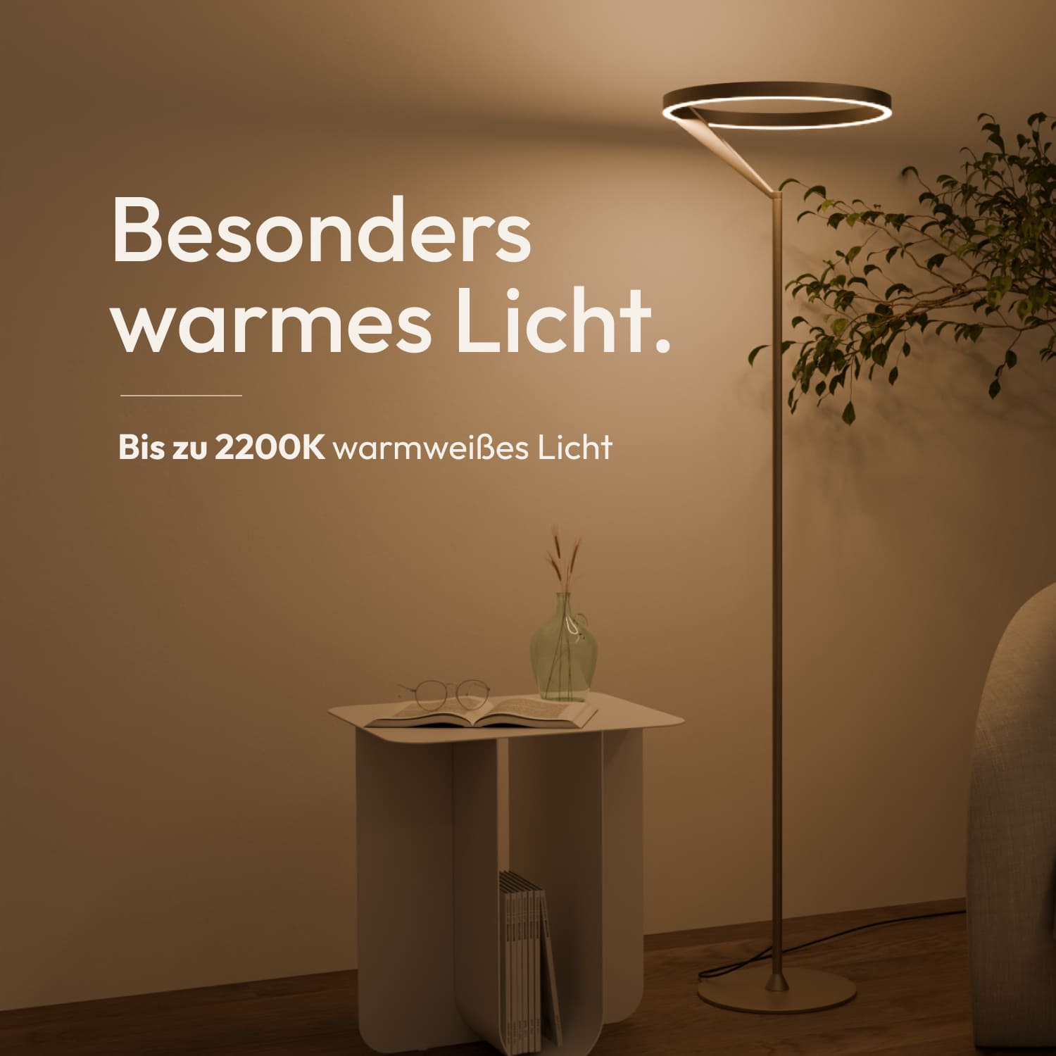 #Farbe_Champagner gebürstet